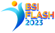 bsiflashupdate-01 logo